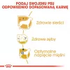 Sausas šunų maistas Royal Canin Poodle Adult 1,5 kg — Vištiena, 30 % baltymų, 19 % riebalų