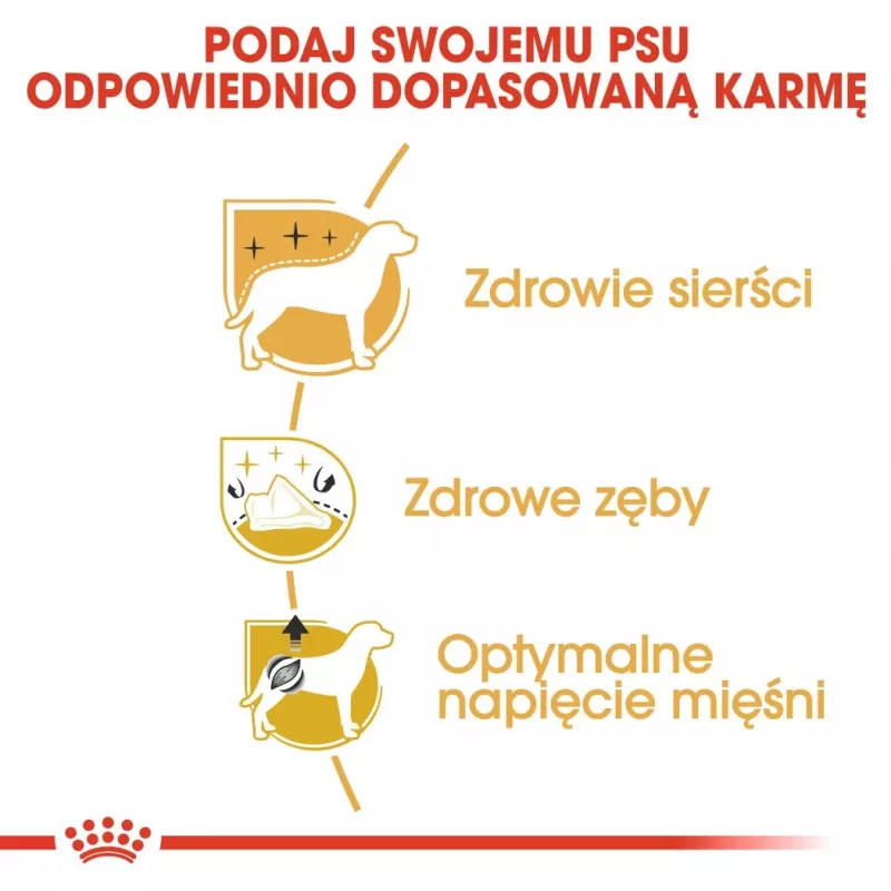 Sausas šunų maistas Royal Canin Poodle Adult 1,5 kg — Vištiena, 30 % baltymų, 19 % riebalų