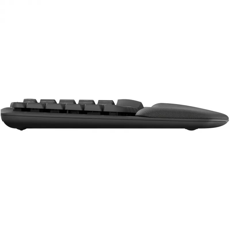 Logitech Wave Keys biuro klaviatūra RF belaidė + Bluetooth QWERTZ vokiška grafito spalvos