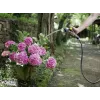 Water Hose Karcher Premium 5/8- 25M