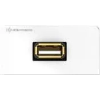 Sieninis įmontuojamas modulis Kindermann Design USB 1 modulis baltas RAL 9010