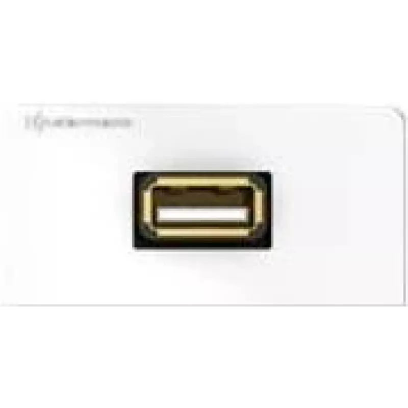 Sieninis įmontuojamas modulis Kindermann Design USB 1 modulis baltas RAL 9010