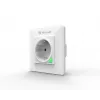 Išmanusis WiFi sieninis kištukas Tellur T-MLX47074 — 3000W, 16A