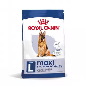 Royal Canin Maxi Adult 5+ sausas maistas šunims, 15 kg