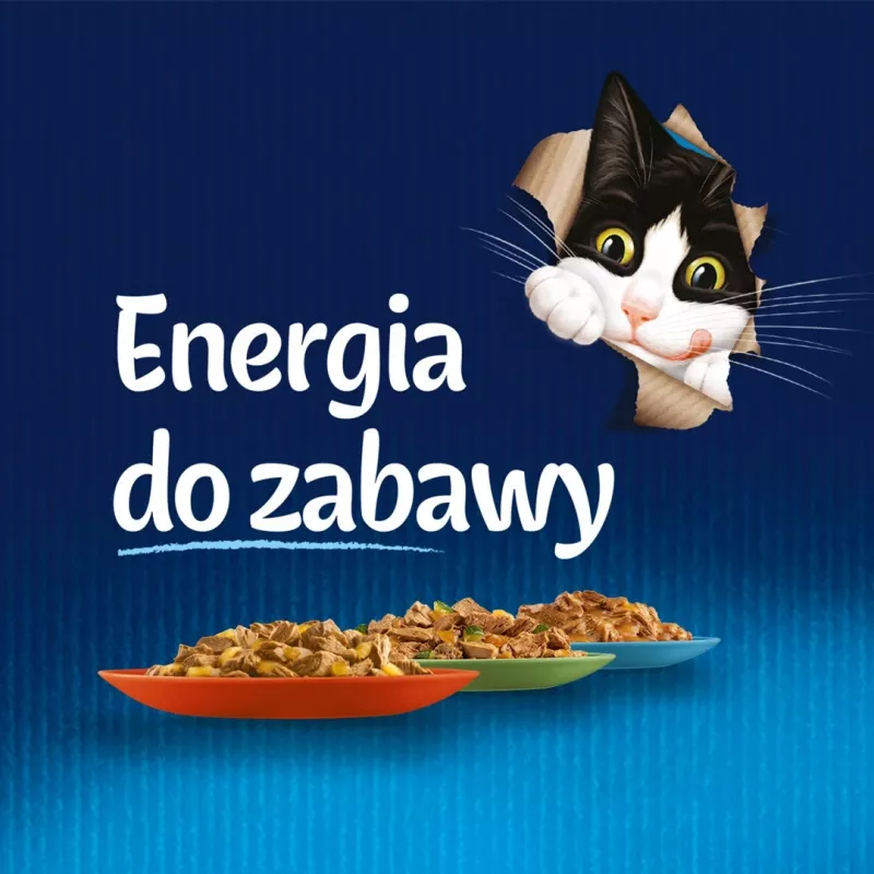 Šlapias kačių maistas Felix PURINA pakelis 85 g — suaugusiems triušio skonio, 82% drėgmės, 11,5% baltymų