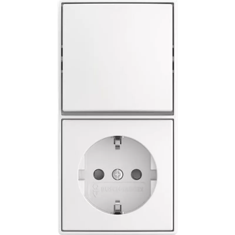 BUSCH JAEGER Kombinuotas svirtinis jungiklis 2601/6/20 EAPBJ-524 (2TKA00005536)