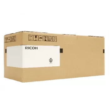 Ricoh RI 1000 Tipas G1 didelės išeigos (342782) tekstilės rašalo kasetė, Geltona