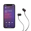 Apple Beats Flex ausinės