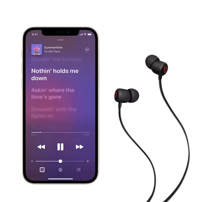 Apple Beats Flex ausinės