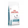 Sausas šunų maistas Royal Canin Anallergenic Small 1,5 kg — hipoalerginė suaugusių šunų formulė mažoms veislėms