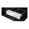 DIMM 32 GB DDR5-5600 (2x 16 GB) Dual-Kit, Arbeitsspeicher weiß, F5-5600J4040C16GX2-RS5W, Ripjaws S5, INTEL XMP