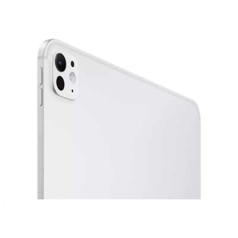 APPLE 33 cm 13 colių iPad Pro Wi-Fi 1TB su nanotekstūros stiklu sidabrinis [Energijos klasė G] (MDYR4TY/A)