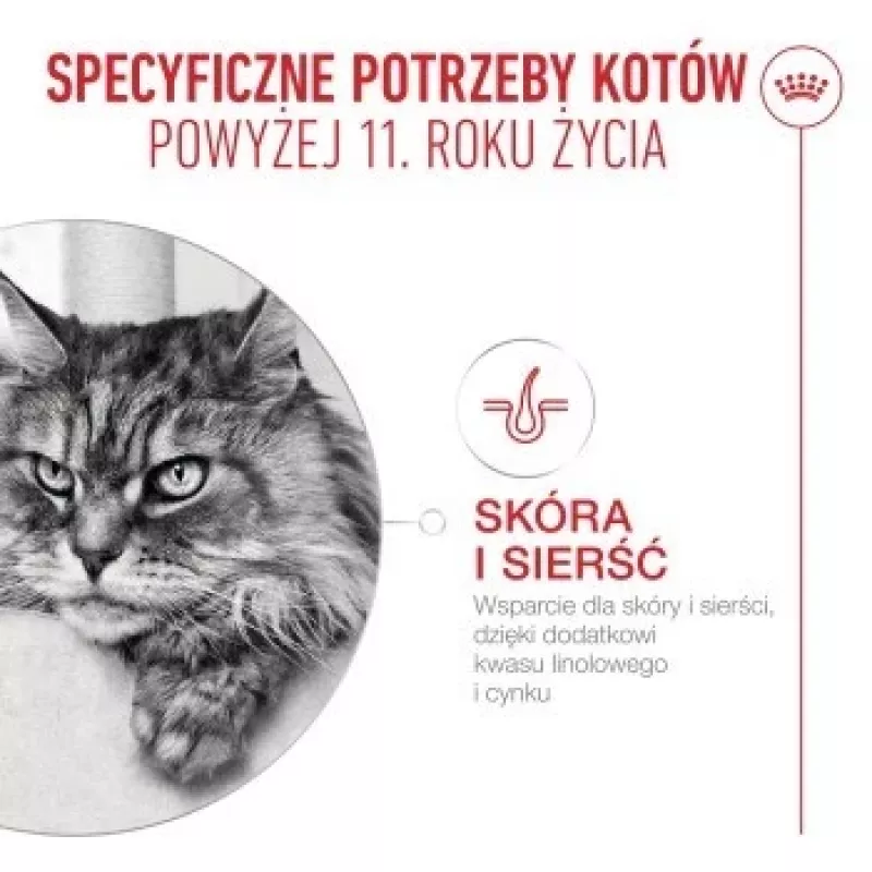 Šlapias kačių ėdalas Royal Canin FHN Ageing 11+ Gravy 12×85 g – pilnavertis drėgnas maistas vyresnio amžiaus katėms padėklėliuose