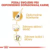 Sausas šunų maistas Royal Canin German Shepherd Adult, 11 kg — didelėms veislėms, paukštiena, 24% baltymų, 19% riebalų