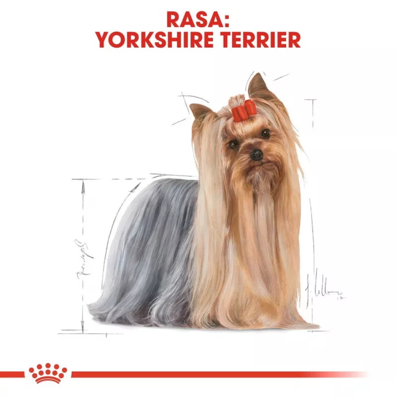 ROYAL CANIN BHN Yorkshire Terrier Adult sausas šunų ėdalas - 7.5 kg