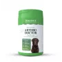HOLISTA Arthro Doctor - papildai šunims ir katėms - 200g