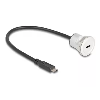 USB laidas DeLOCK 88183 0,3 m USB C juodas sidabrinis