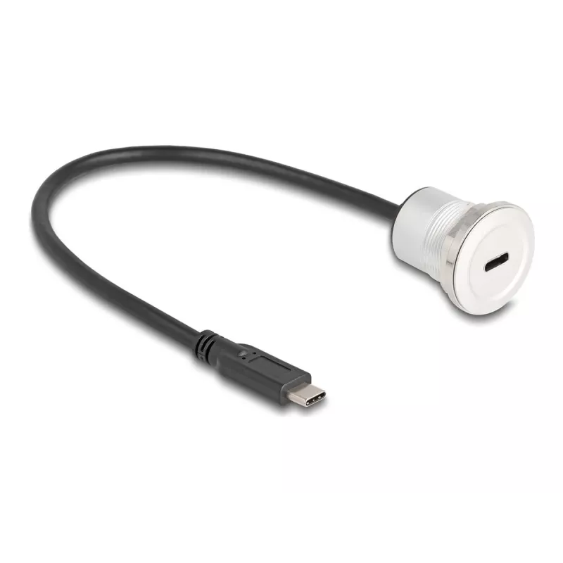 USB laidas DeLOCK 88183 0,3 m USB C juodas sidabrinis