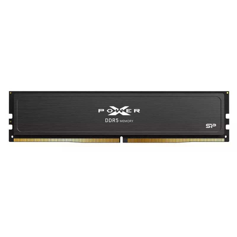 DDR5 16GB 6400MHz Atminties modulis Silicon Power XPOWER Pulse, 1.4V, CL32, ECC luste, XMP 3.0