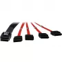 Inter-Tech - SATA- / SAS-kabelis - Serial ATA 150/300/600 - 4-Lane - 36 PIN 4iMini MultiLane to SATA - 1,0m - raudonas (88885301)