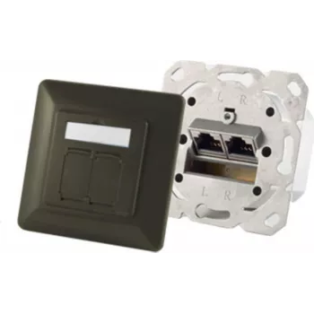 Kištukinis lizdas ShiverPeaks S/CONN 74280-A — 2×RJ-45, Cat6a, 500 MHz, metalinis korpusas, antracitinis