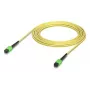 Ubiquiti InfiniBand šviesolaidinis kabelis UACC-OFC-SA-MPMP-5M 5m OS2 geltonas