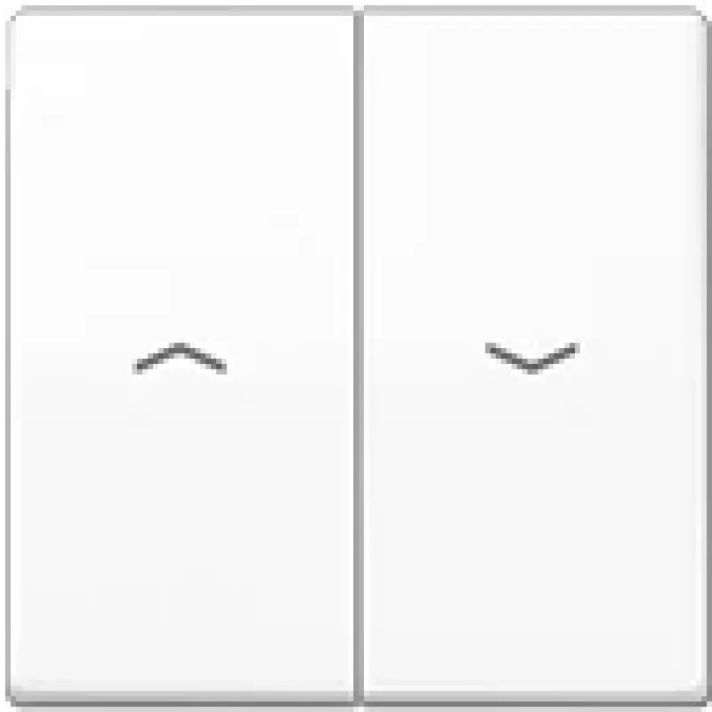 JUNG AS 591-5 PBF WW - Balta - 509 VU - 539 VU - IP44