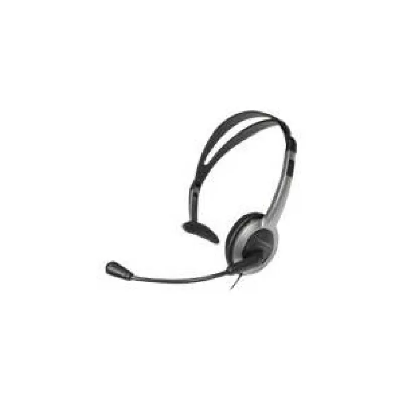 Panasonic RP-TCA430E-S - ausinės su mikrofonu - ant ausies - laidinės (RP-TCA430E-S)