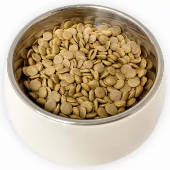 PUPIL Premium All Breeds Rabbit - sausas šunų maistas - 1,6 kg