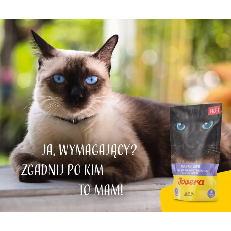 JOSERA Vištienos filė su veršiena - šlapias kačių ėdalas - 70 g