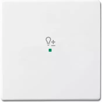 Busch-Jaeger 6220-0-0046 Cover Plate for Sensor Holder & -Socket Balta (2CKA006220A0046)
