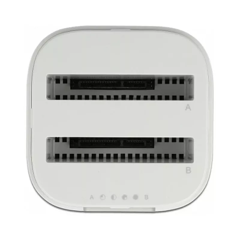 Dokų stotelė DeLOCK USB Type-C™ 3.2 2 x 2,5 colio SATA HDD/SSD