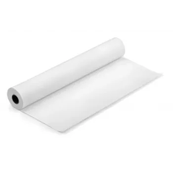 Terminis ritininis popierius 210 mm x 30 m (10 metų vaizdo išlaikymo garantija)