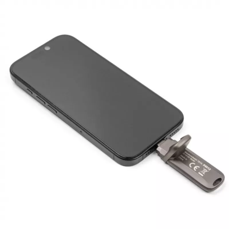 USB atmintukas DeLOCK 54012 256 GB USB Type-C pilka