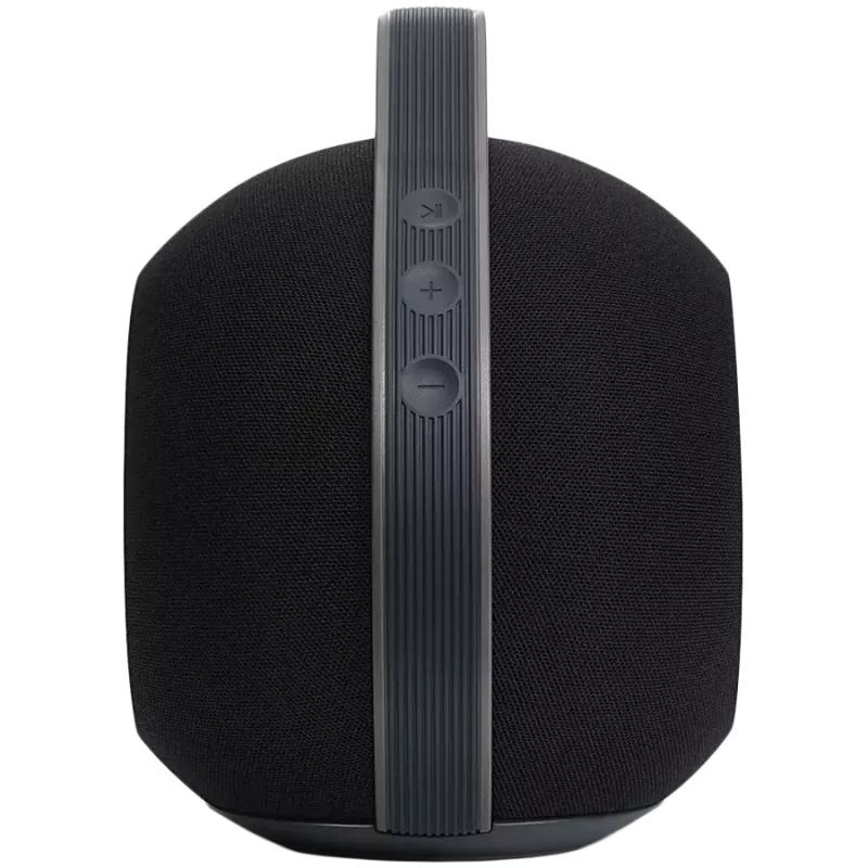 Nešiojamas stereofoninis garsiakalbis Devialet Mania 95 dB