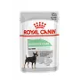 Šlapias šunų maistas Royal Canin Digestive Care mėsos ir daržovių paštetai 12 x 85 g — suaugę šunys, virškinimo palaikymas