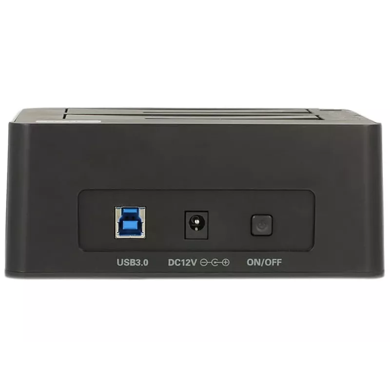 Delock ZG-12300 saugojimo diskas juodas