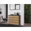 Topeshop M8 120 ANT/ART KPL komoda