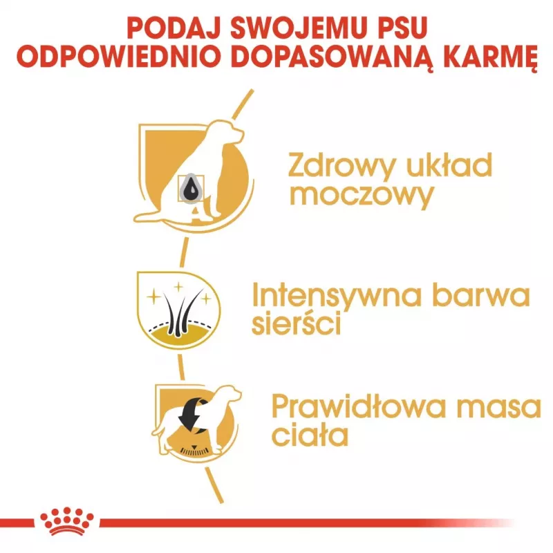 Sausas šunų maistas Royal Canin Miniature Schnauzer Adult, paukštiena, 3 kg, mažoms veislėms