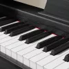 Skaitmeninis pianinas Kruger & Matz KMDP-45-BK — 88 klavišų svertinė klaviatūra, matinė juoda