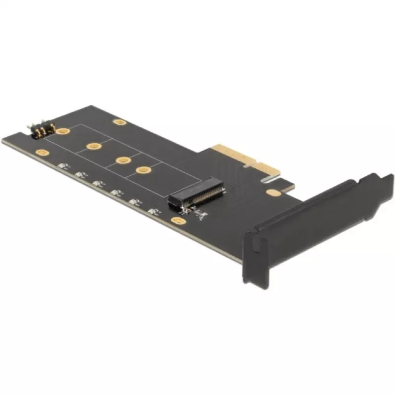 Sąsajos plokštė DeLOCK 89013 vidinė M.2 PCIe Low-profile