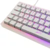Mechaninė TKL žaidimų klaviatūra XTRFY K5 RGB — be skaitmenų bloko, permatoma / balta