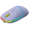 CANYON pelė MW-22 2in1 BT/Wireless Lavender