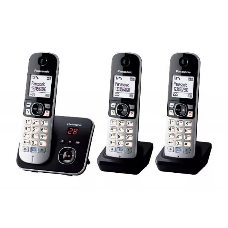 DECT telefonas Panasonic KX-TG6823GB
