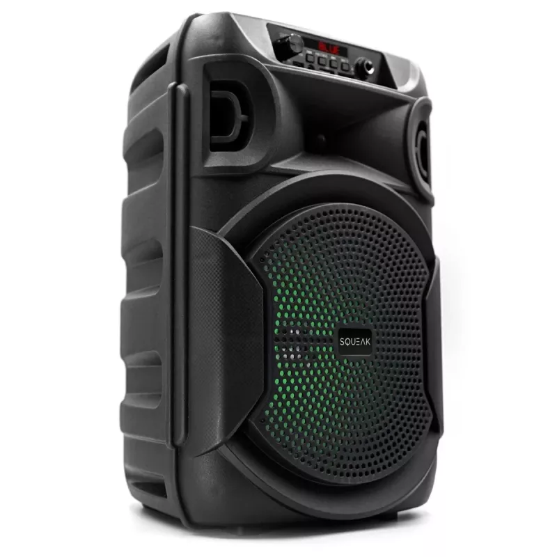 BLUETOOTH GARSIAKALBIS 5.3 E DR PULSETOWER SQ1006