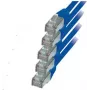 Tinklo kabelis S/CONN RJ45-RJ45 m-m 0,5 m ShiverPeaks 75711-H0.5B-SET5