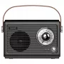 Nešiojamasis radijas Savio RS-01 Analog Juoda