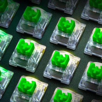 Key Switch Razer RC21-02040200-R3M1 Green Transparent 36 vnt.