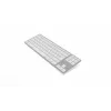 Aluminium klaviatūra Mac Tenkeyless Sidabrinė