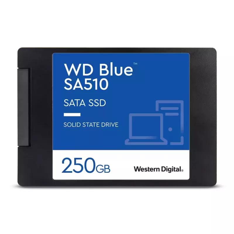 SSD diskas Western Digital Blue SA510 250GB 2.5 col. SATA III